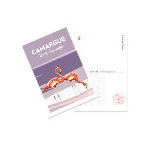 Carte postale Camargue