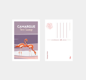 Carte postale Camargue